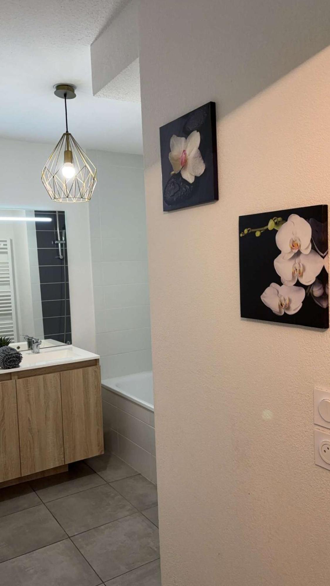Suite Jacuzzi "Spa Privatif " Appartement Jacuzzi Toulouse Eksteriør billede