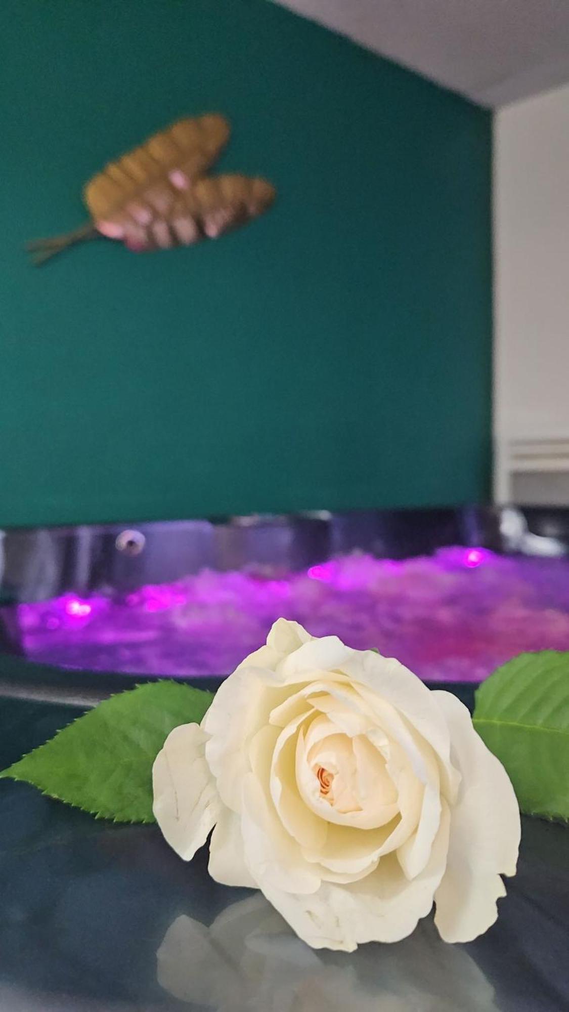 Suite Jacuzzi "Spa Privatif " Appartement Jacuzzi Toulouse Eksteriør billede